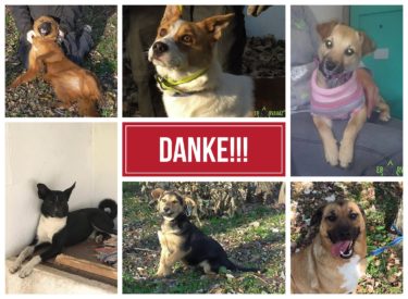 pixiz-14-11-2017-12-54-16