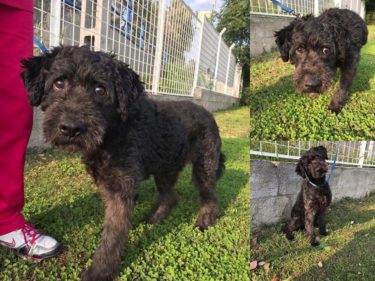 24900148_923313871155500_3641463695421516200_n