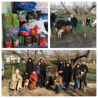 24989520_10215108316451812_1369298915_n