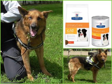 25152089_927649437388610_1042979584548000345_n