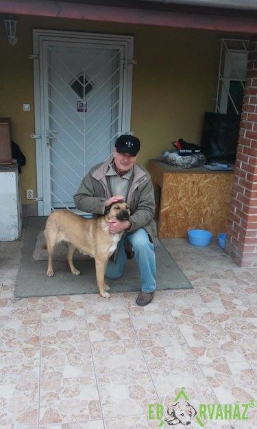 25152362_927700024050218_2007432441844154492_n