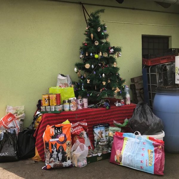 25348505_929594040527483_165935501995714334_n