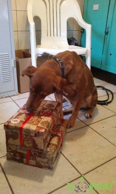 25399071_930749407078613_8063799822719750774_n