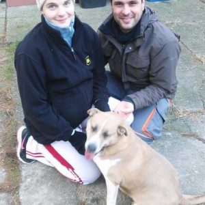 25442804_930751417078412_668136596996486606_n 25442804_930751417078412_668136596996486606_n