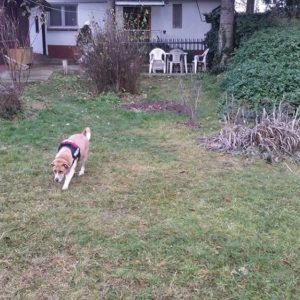 25446178_930751503745070_5753571313549876820_n 25446178_930751503745070_5753571313549876820_n