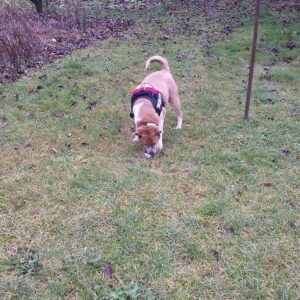 25592093_930751527078401_6813720767537896961_n 25592093_930751527078401_6813720767537896961_n