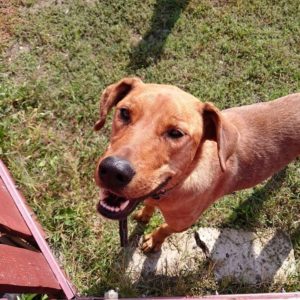 25660377_934610886692465_7102789958234265008_n 25660377_934610886692465_7102789958234265008_n