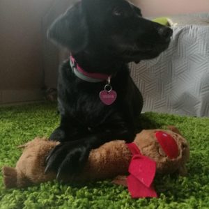 25994808_934608133359407_7332988042180809692_n 25994808_934608133359407_7332988042180809692_n