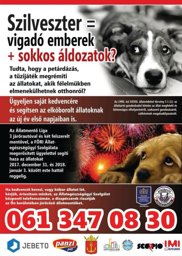 26055968_936445739842313_6867972246963669835_n