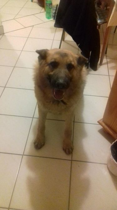 26169531_940890712731149_6535362129388349564_n