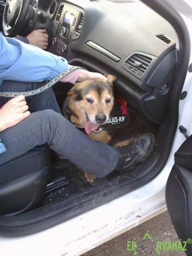 26195308_940881176065436_922749864882010714_n