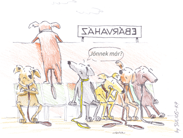 26195415_940323322787888_8161579657528445613_n