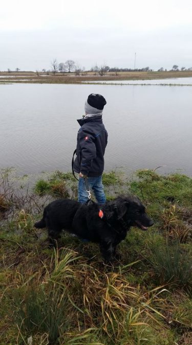 26220227_943044835849070_7404164782128340633_n