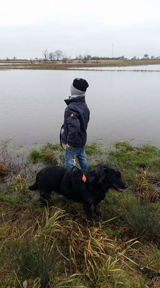 26220227_943044835849070_7404164782128340633_n