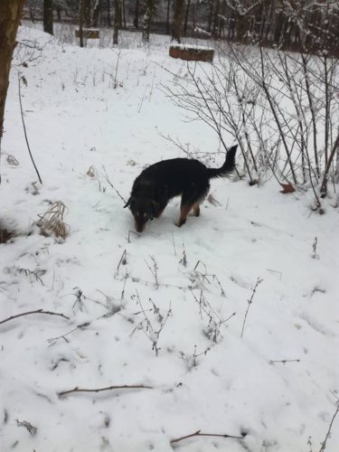 26229672_948304748656412_6763477204208901604_n