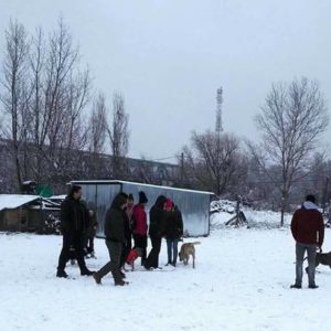 27072897_952109324942621_455939396481301271_n