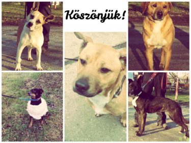 Köszönjük december