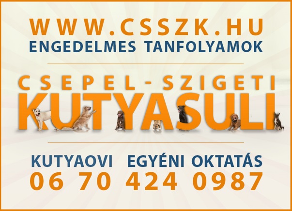 kutyasuli