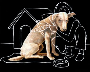 27332087_954058248081062_3014959864809747969_n