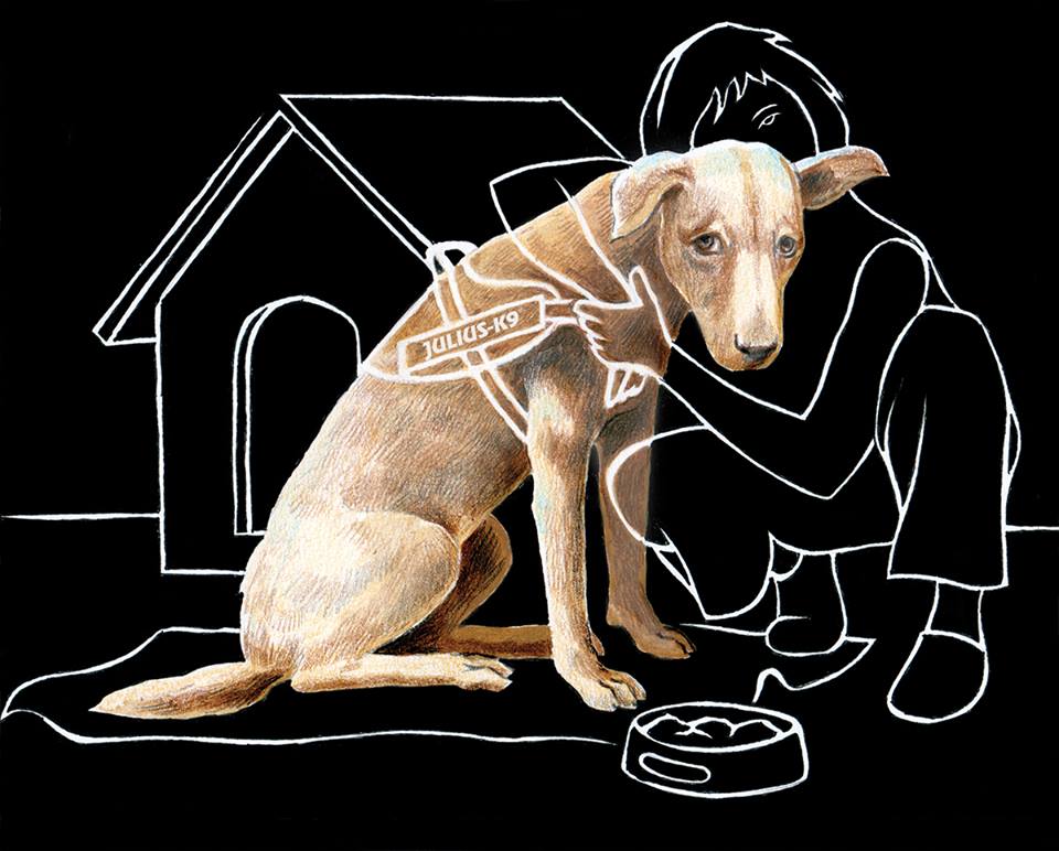 27332087_954058248081062_3014959864809747969_n