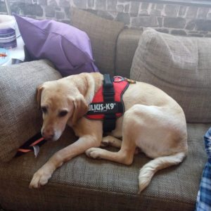 28168288_970704383083115_9190588871628612393_n