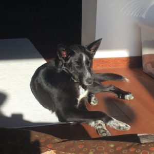 28168757_971819332971620_610752182925631146_n