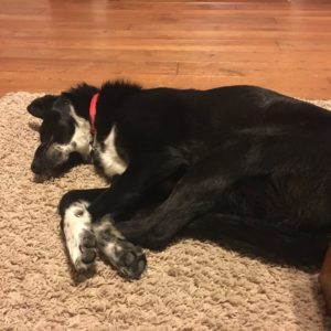 28276248_971819386304948_6450709456679716872_n