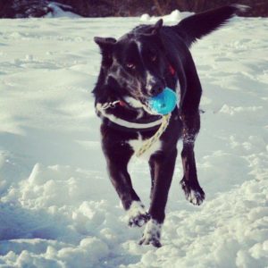 28377893_971819049638315_2272542633811346584_n