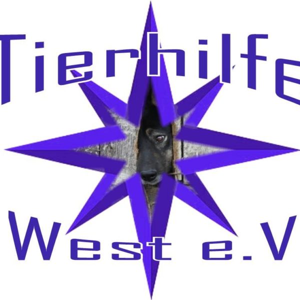 28378705_970712466415640_1186065757189637167_n