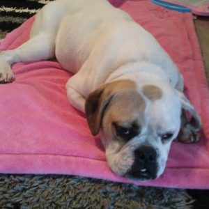 28829601_1975758999187009_1844074902_n