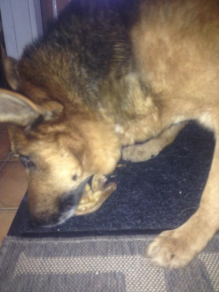 29178303_980299438790276_5562518003108544512_n