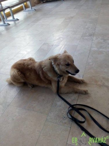 29196454_980298085457078_9133981874660573184_n