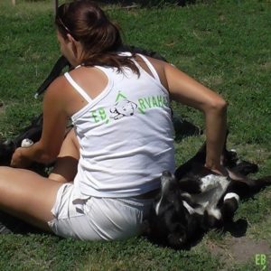 29356119_982568805230006_7181369504289521664_n 29356119_982568805230006_7181369504289521664_n