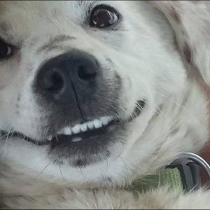 29356451_982568971896656_171600449034518528_n 29356451_982568971896656_171600449034518528_n