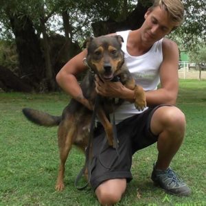 29365396_982568695230017_8759313353236545536_n 29365396_982568695230017_8759313353236545536_n