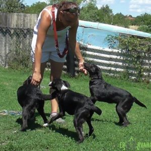 29386019_982568208563399_3710162053600641024_n 29386019_982568208563399_3710162053600641024_n