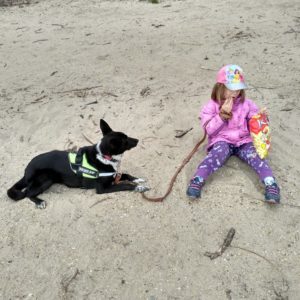 29468921_983158838504336_4581167333736710144_n