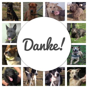 Danke! február 2018