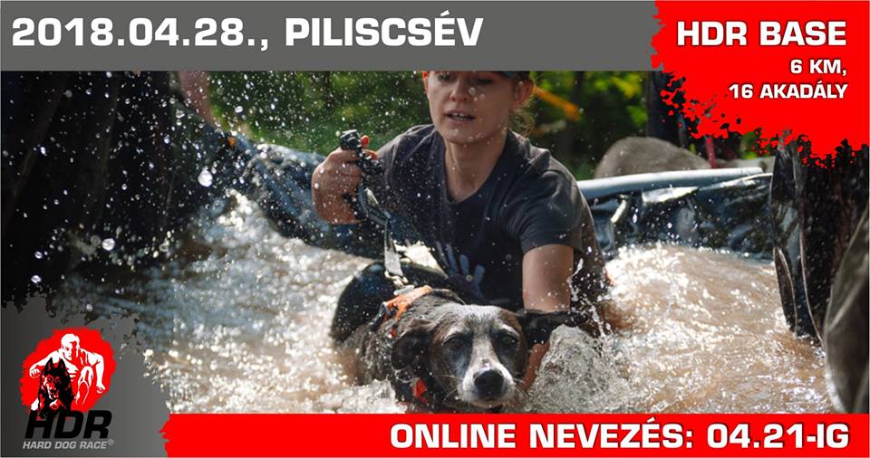 27336445_1644160245627444_4737036484110891652_n