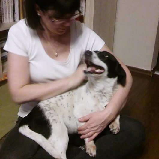 30741772_999425153544371_7800469162899275776_n