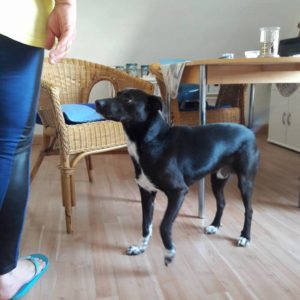 31172281_1001486063338280_8701075117121208320_n