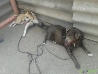 31232130_1001934566626763_2258814371452944384_n