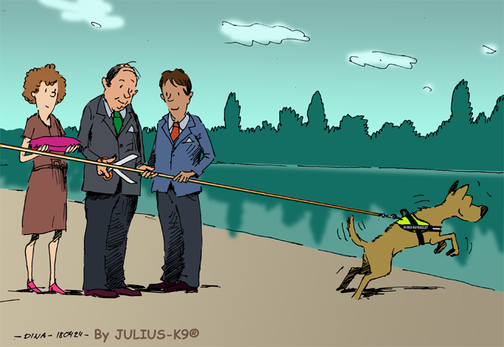 31363243_1003562989797254_5469532042754523136_n