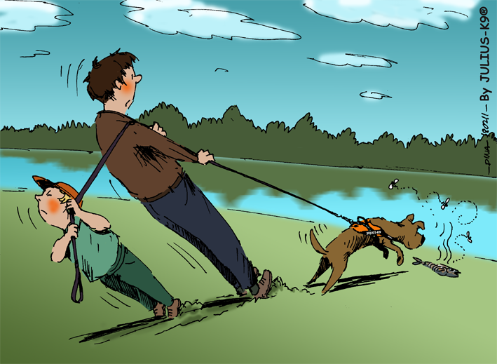 31301926_1543691982396539_884644369691312128_n