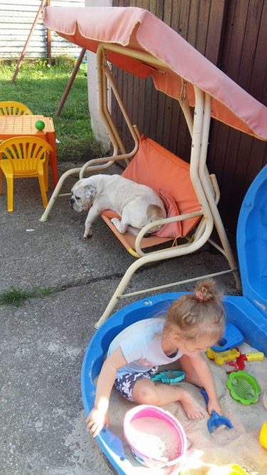 31925021_1007416559411897_176065664539164672_n