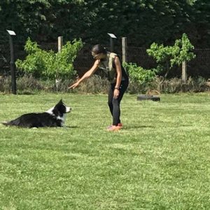 32368631_1012738952212991_1939673287470612480_n