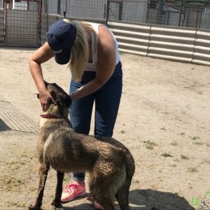 32372901_1012739488879604_4940543104412286976_n