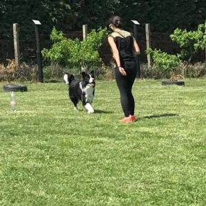 32374895_1012739002212986_8683678867484835840_n