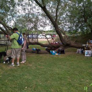 32392087_1012740935546126_1845962280802451456_n