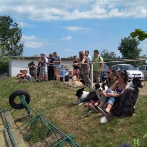 32399302_1012740632212823_5207399562930552832_n